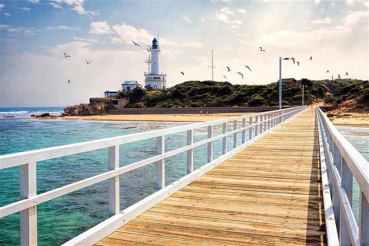 Around the Bay Sightseeing and Bay Cruise — Geelong to Mornington Peninsula Day Tour photo 2