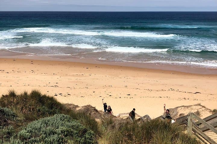 Phillip Island Penguin Parade Private Tour — Evening Wildlife, Koala Walk & Beach Strolls photo 3