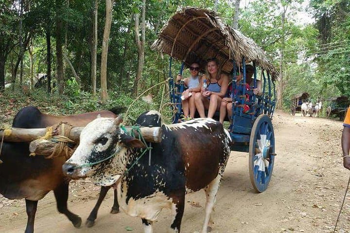 Hiriwadunna Village Tour & Cooking Class — Bullock Cart, Boat Ride and Traditional Lunch photo 2