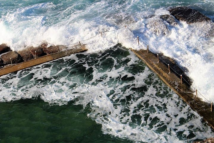 Private Northern Beaches and Ku‑Ring‑Gai Chase Day Tour