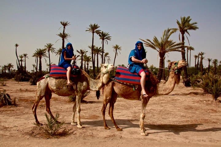 Palmeraie Camel Ride Near Marrakech — 2–3 Hour Palm-Grove Trek photo 5