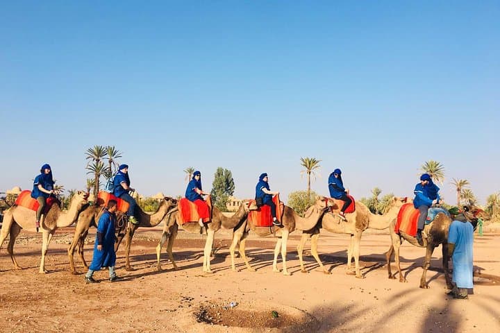 Camel Ride Through Marrakesh Palmeraie: Dromedary Adventure and Berber Tea photo 2