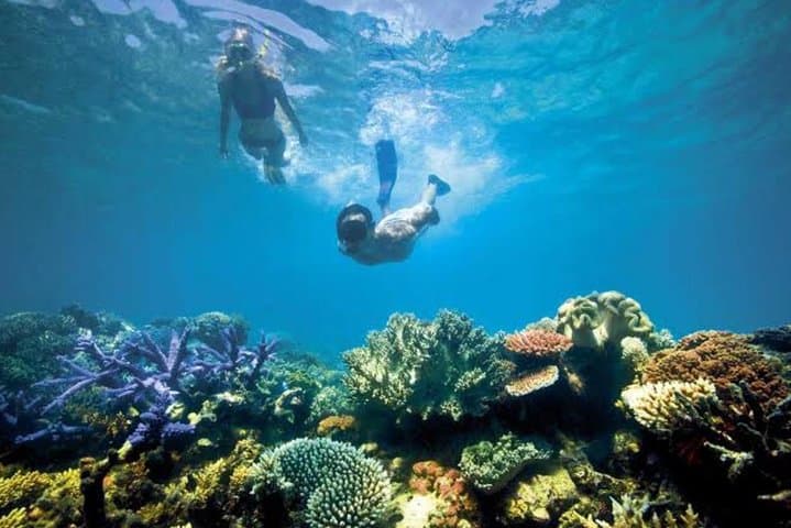Blue Lagoon Snorkel: Clear Reefs & Turtles at Padang Bai