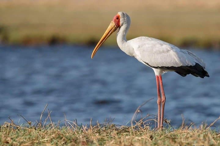 3-Day Tarangire, Ngorongoro & Lake Manyara Safari — Northern Tanzania Circuit photo 2