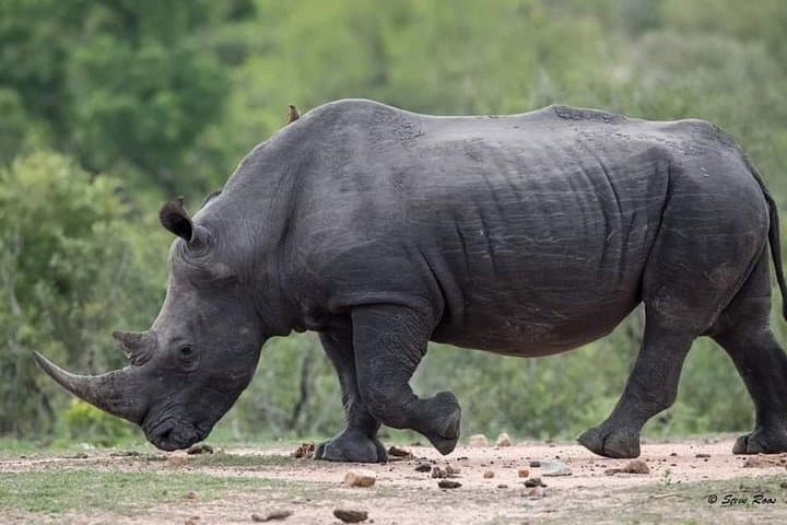 3-Day Tarangire, Ngorongoro & Lake Manyara Safari — Northern Tanzania Circuit photo 4