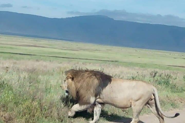 3-Day Tarangire, Ngorongoro & Lake Manyara Safari — Northern Tanzania Circuit photo 3