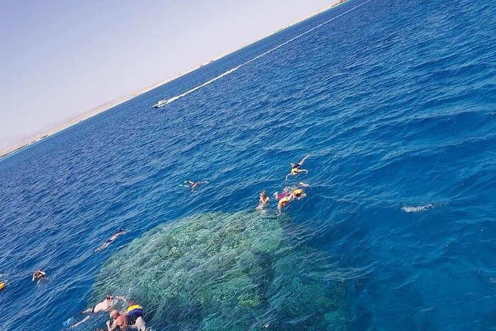 Red Sea Dolphin House & Banana Boat Day Cruise from Hurghada photo 2