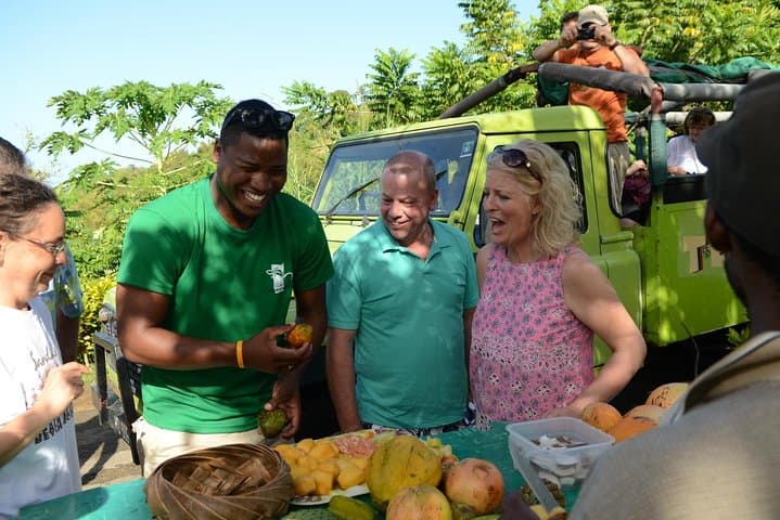 Castries Rainforest Hike & Waterfall Safari — Morne Fortune to Anse La Raye photo 3
