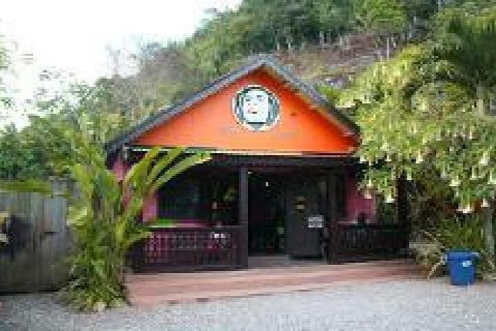 Zion Bus Line Bob Marley Cultural Experience from Ocho Rios — Nine Miles Reggae Pilgrimage photo 4