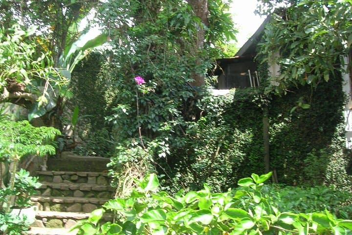 Coffee & Flowers Shore Excursion from Acajutla — Nahuizalco, Coffee Mill & Ataco photo 5