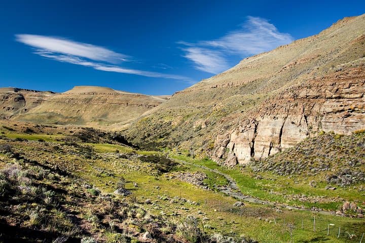 Patagonian Steppe Safari at Estancia 25 de Mayo — 4x4 Wildlife & Ranch Lunch near El Calafate photo 3