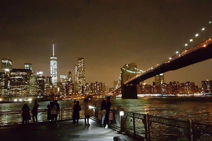 Dyker Heights Christmas Lights Tour — Brooklyn Holiday Experience photo 6