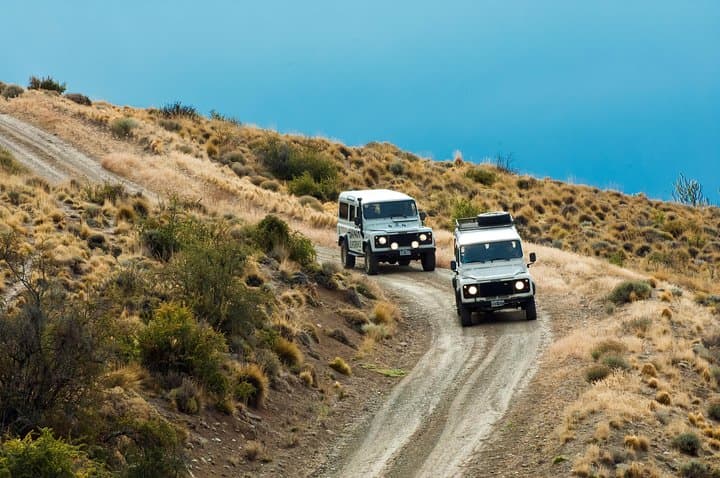 Patagonian Steppe Safari at Estancia 25 de Mayo — 4x4 Wildlife & Ranch Lunch near El Calafate photo 2