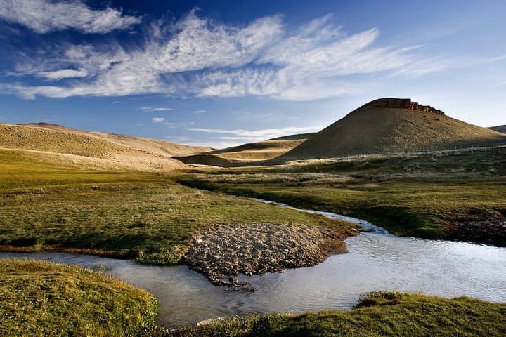 Patagonian Steppe Safari at Estancia 25 de Mayo — 4x4 Wildlife & Ranch Lunch near El Calafate photo 4