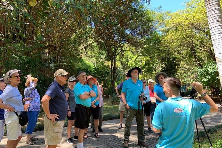 Jaco Highlights Tour: Mangrove Monkeys, Coastal Vistas & Beachfront Lunch
