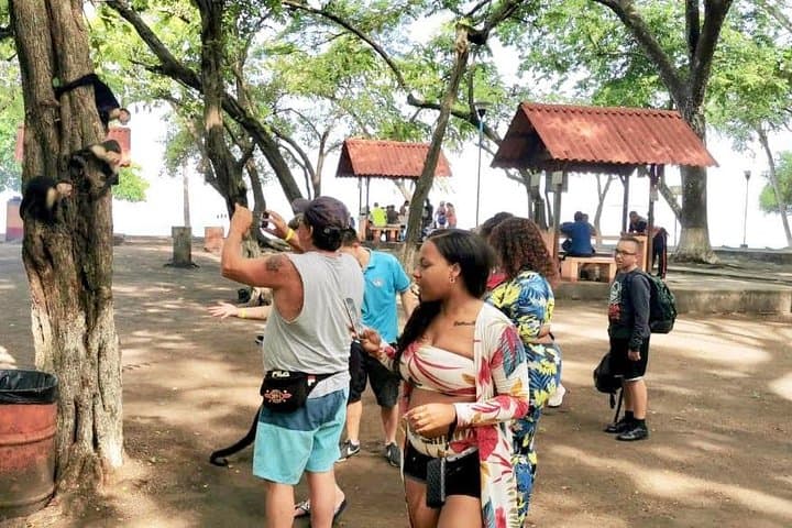 Jaco Highlights Tour: Mangrove Monkeys, Coastal Vistas & Beachfront Lunch photo 4
