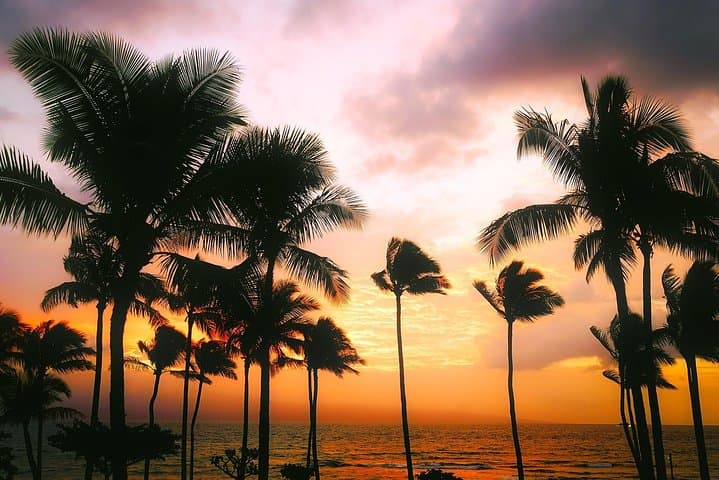 Kona Creative Soul Scavenger Hunt — Interactive Street Game in Kailua‑Kona photo 5