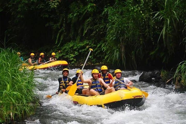 Ayung River White-Water Rafting near Ubud — Half-Day Trip with Transfer & Lunch photo 1