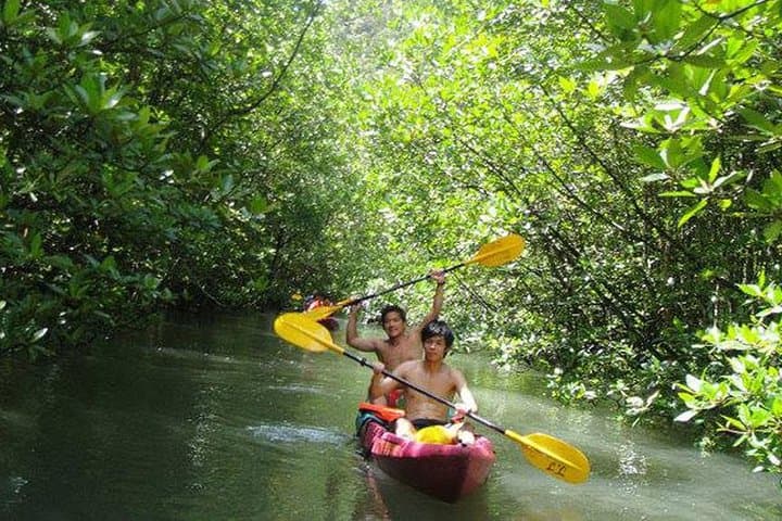 Full-Day Kayaking in Ao Thalane: Mangroves, Caves & Khlong Sa Kaeo photo 6