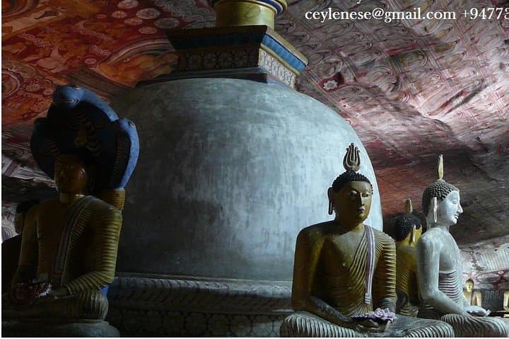 Sigiriya and Dambulla Day Trip with Kaudulla Safari from Colombo photo 4