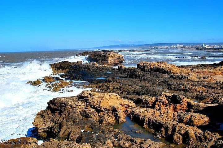 Day Trip from Marrakech to Essaouira: Atlantic Winds, Argan Groves & Historic Ramparts photo 3