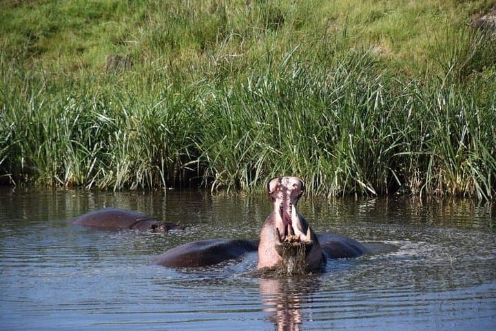 9-Day Budget Lodge Safari in Tanzania: Serengeti, Ngorongoro & Lake Manyara photo 3