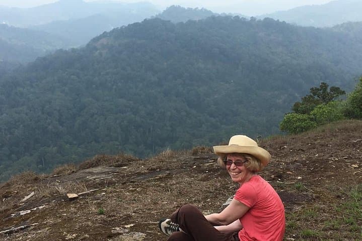 Munnar Tea Plantation Walk and Valley-View Homestay — 2-Day Plantation Experience