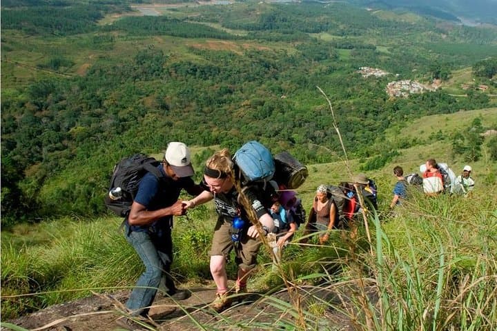 Munnar Tea Plantation Walk and Valley-View Homestay — 2-Day Plantation Experience photo 3