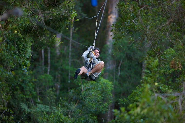 Fly the Tsitsikamma Canopy: Zipline Through South Africa’s Oldest Rainforest
