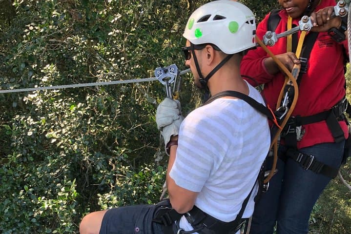 Fly the Tsitsikamma Canopy: Zipline Through South Africa’s Oldest Rainforest photo 6