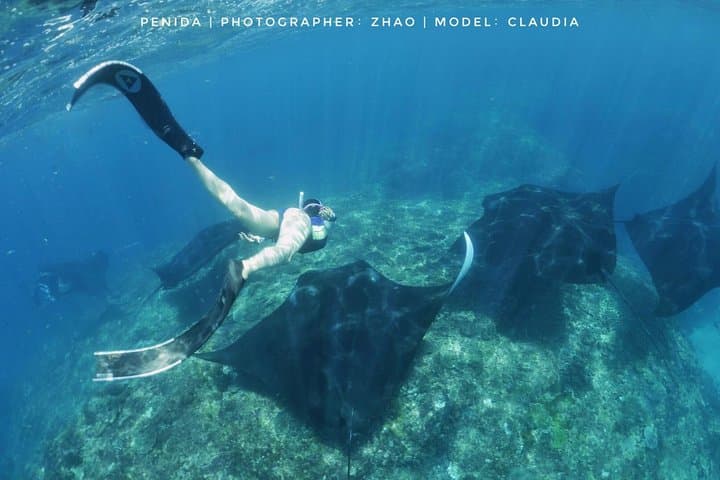 Snorkelling Nusa Penida Manta Point: Swim with Manta Rays & Coral Gardens photo 4