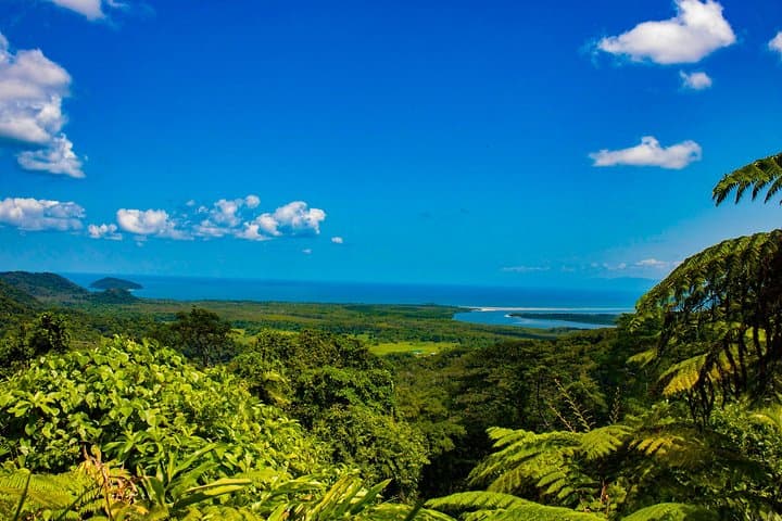 Cape Tribulation Day Tour: Daintree Rainforest, River Cruise & Beach Walks