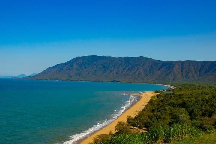 Cape Tribulation Day Tour: Daintree Rainforest, River Cruise & Beach Walks photo 2