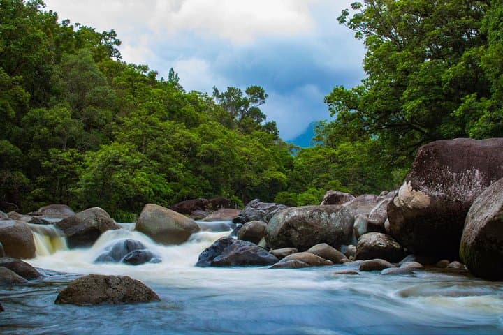 Cape Tribulation Day Tour: Daintree Rainforest, River Cruise & Beach Walks photo 5