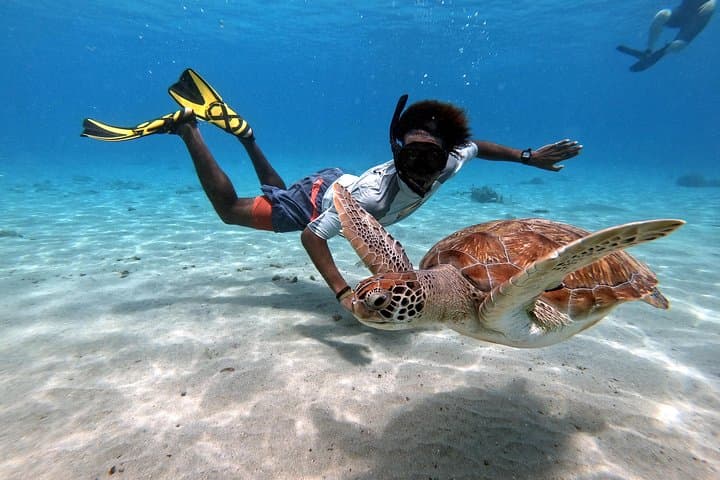 Snorkel with Sea Turtles at Daaibooi Beach — Curaçao Guided Tour photo 2