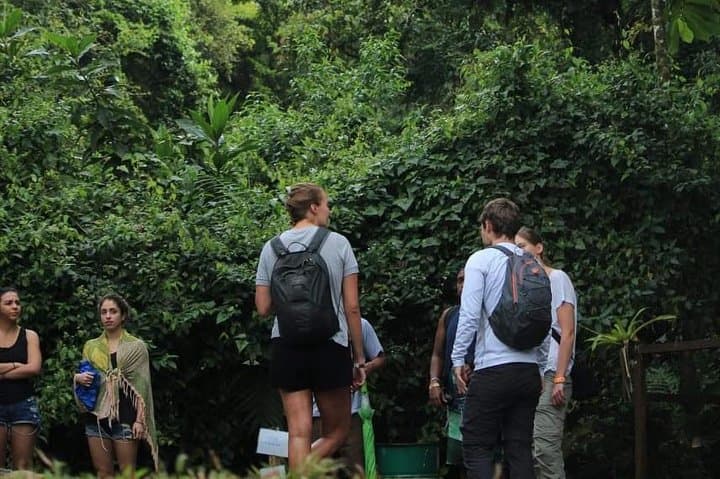 Arenal Ecological Park Day Pass: Hike Lava Flows, Kayak & Hot Springs photo 4