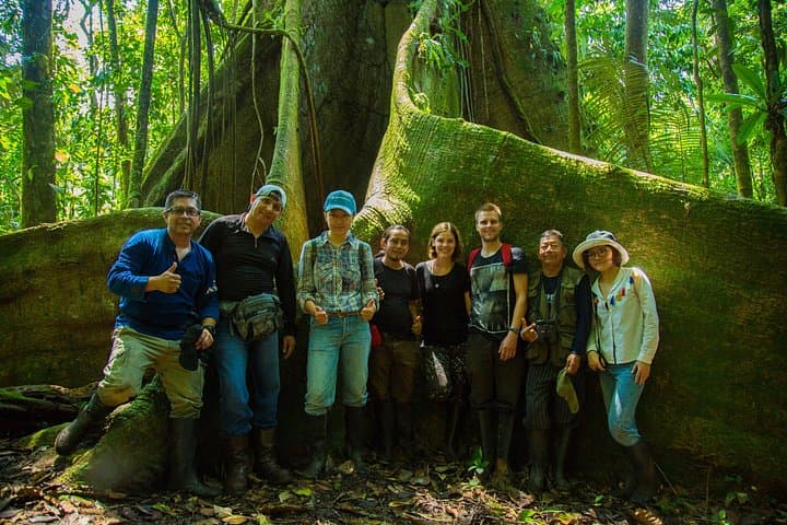 Yasuni National Park 3-Day Amazon Wildlife Lodge — Canopy Tower, Clay Licks & Indigenous Culture