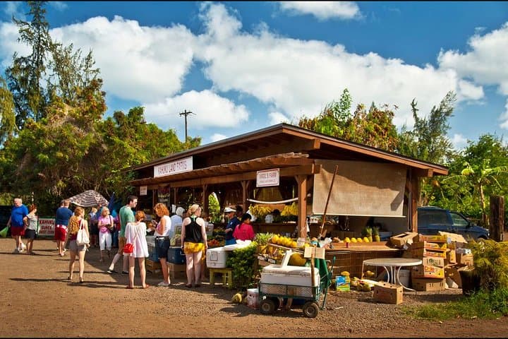 Oahu Circle Island Tour — Full-Day Highlights from Honolulu photo 6