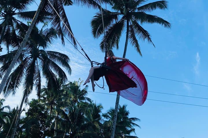 Ubud Experience: Swing, Waterfalls, Art Market & Rice Terraces - Private 8-Hour Tour photo 4