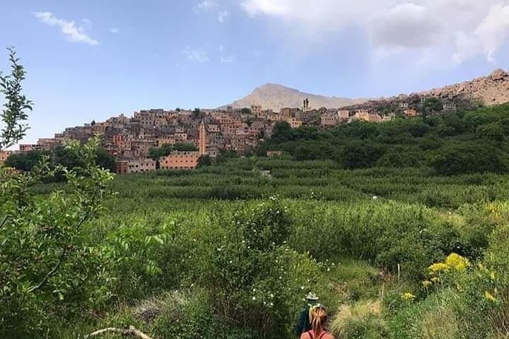 Atlas Mountains and Three Valleys Day Trip from Marrakech — Imlil Waterfalls & Berber Lunch photo 4
