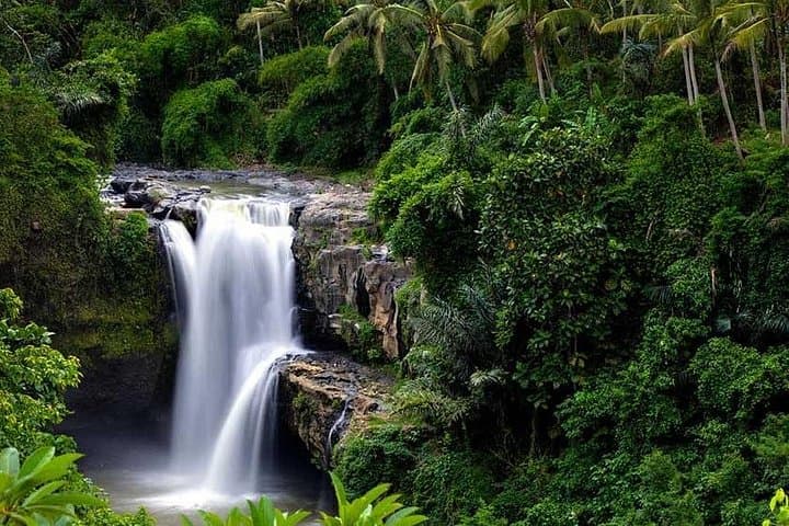 Ubud Private Day Tour — Batuan Temple, Tegenungan Waterfall & Goa Gajah (Elephant Cave) photo 4