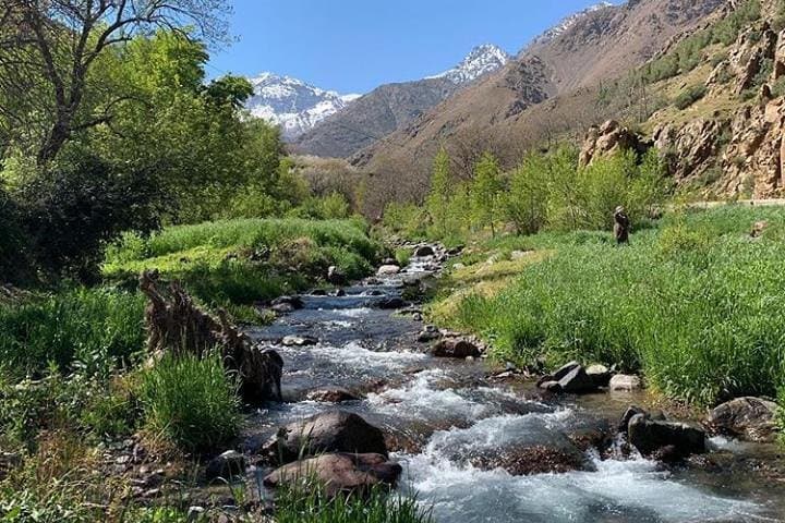 Atlas Mountains Day Trip from Marrakech with Camel Ride and Berber Lunch photo 5