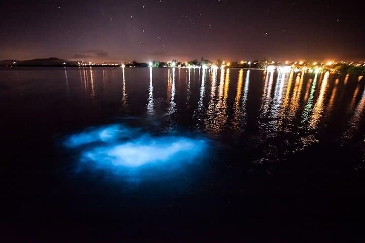 Night Swim at Jamaica's Luminous Lagoon — Private Tour from Montego Bay photo 2