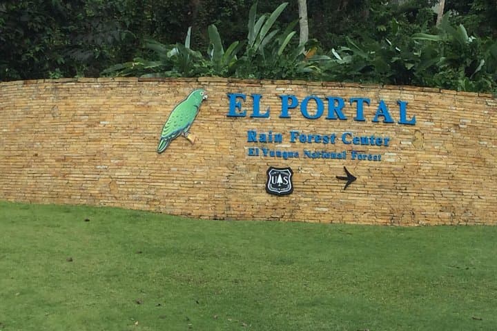 El Yunque Rainforest Hiking Tour from San Juan — Yokahu Tower, Trails & Natural Pools photo 5