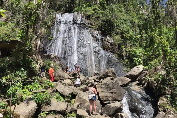 El Yunque Rainforest Hiking Tour from San Juan — Yokahu Tower, Trails & Natural Pools