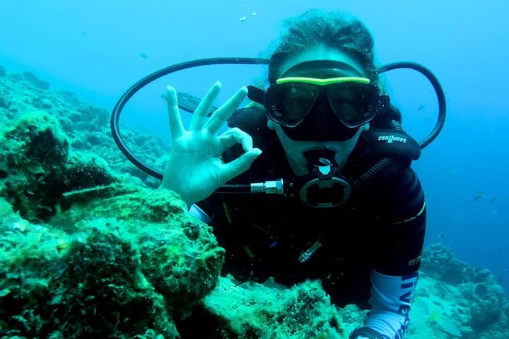 Two-Day PADI Open Water Diver Course at Blue Bay, Curaçao