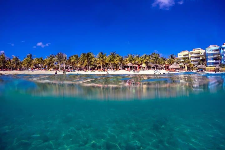 Guided Shore Dive at The Wall — Blue Bay Curaçao: Reef Dive for Certified Divers photo 6