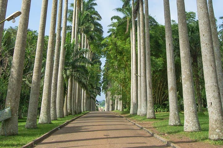 Day Trip from Accra to Aburi Botanical Gardens & Tetteh Quarshie Cocoa Farm photo 4
