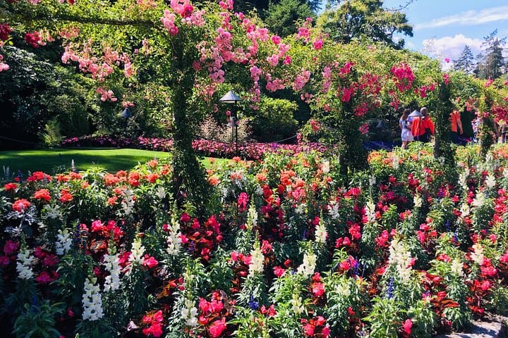 Victoria to Butchart Gardens: Private Deluxe 5-Hour Tour of Gardens, Harbour & History photo 2