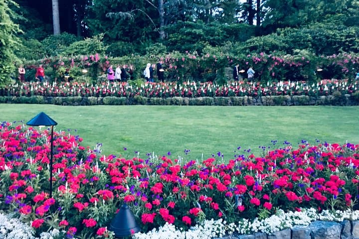 Victoria to Butchart Gardens: Private Deluxe 5-Hour Tour of Gardens, Harbour & History photo 3
